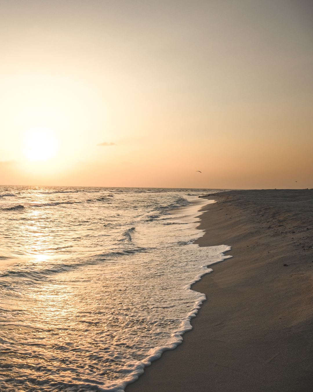 Coaching für Frauen in Übergangsphasen – Klarheit und Neuorientierung