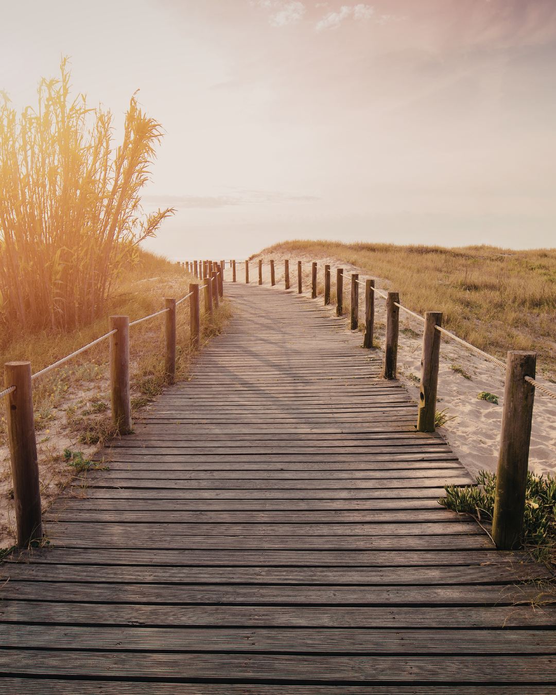Coaching für Frauen in Übergangsphasen – Klarheit und Neuorientierung