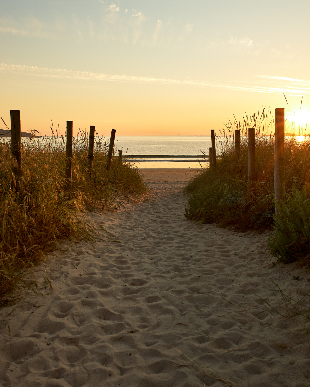 Coaching für Frauen in Übergangsphasen – Klarheit und Neuorientierung